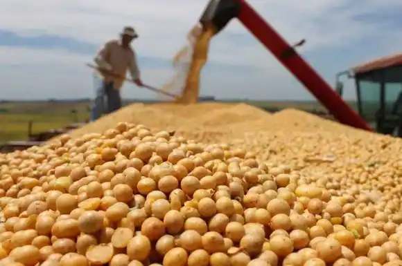 Brasil podría reemplazar a Estados Unidos como proveedor mundial de alimentos