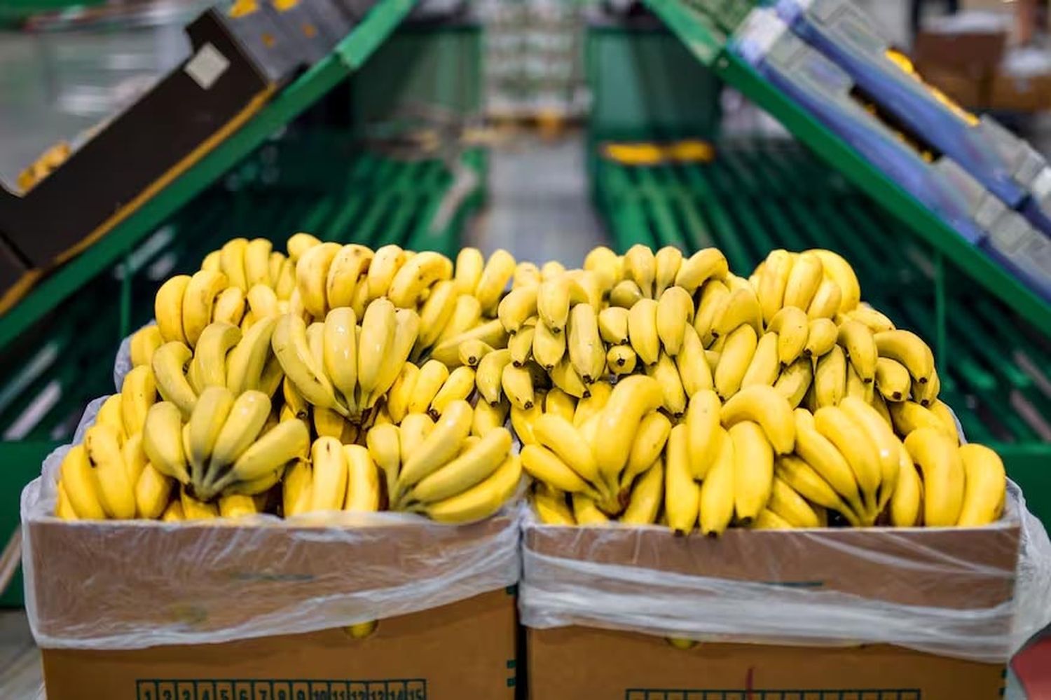 Bananas de Ecuador