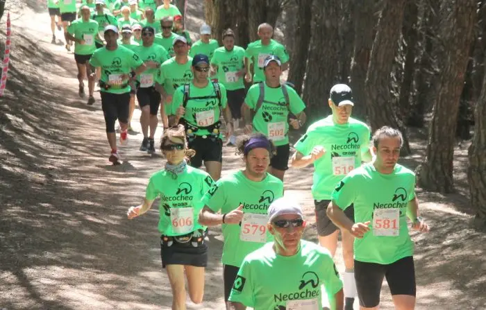 Nuevo cross de aventura