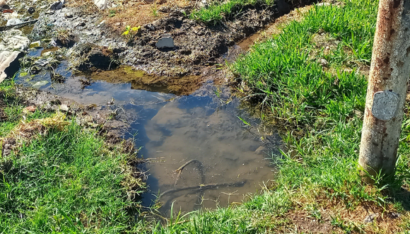 Oficina de quejas: cómo y dónde reportar cloacas rebalsadas o pérdidas de agua