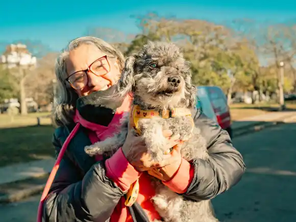 Dónde castrar o vacunar a mis mascotas en Mar del Plata: nuevas ubicaciones