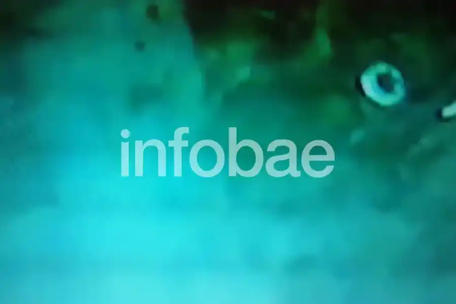 Uno de los laterales del casco resistente del ARA San Juan, que por la implosión perdió unos 20 metros de longitud. La imagen es parte de las 67 mil fotografías y videos que tomó el Seabord Constructor