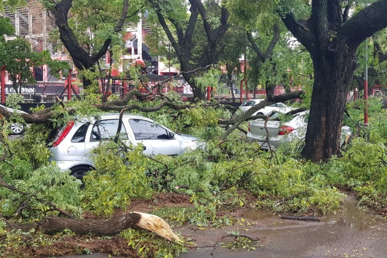 Temporal en Rosario: 80 milímetros de agua, ráfagas de 102 kilómetros por hora y más de 250 reclamos