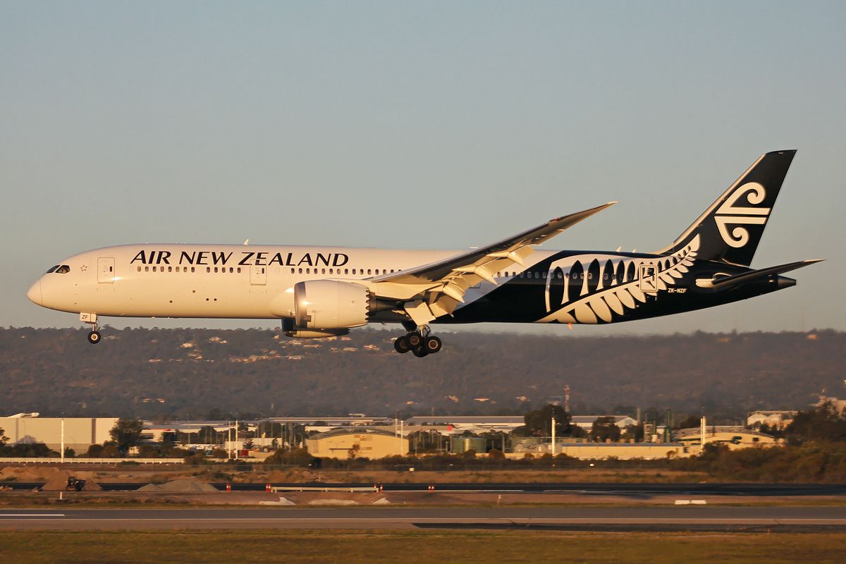 Air New Zealand to resume flights to Honolulu