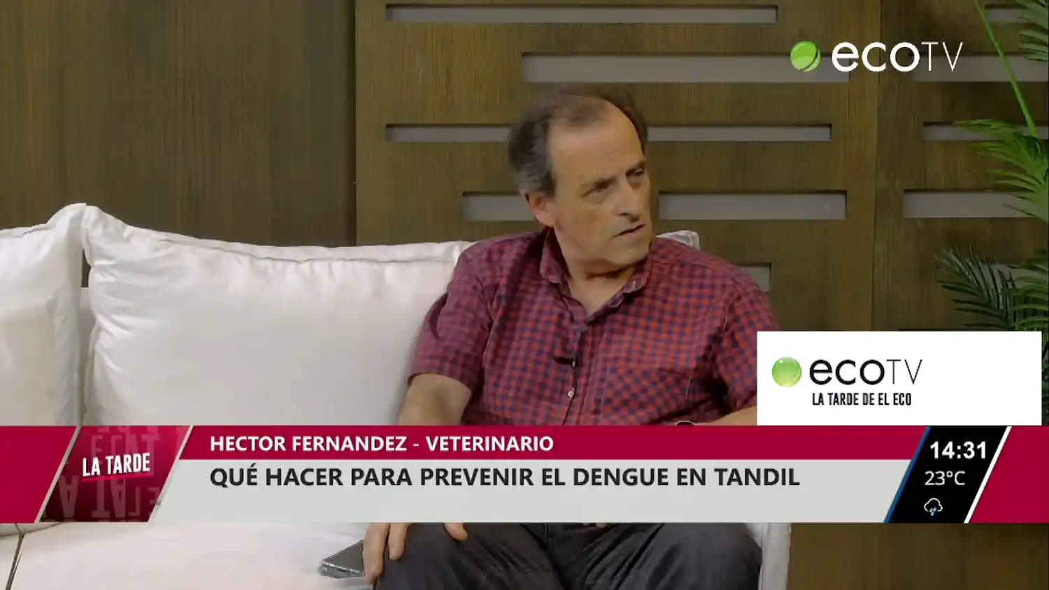 Qué hacer para prevenir el Dengue en Tandil
