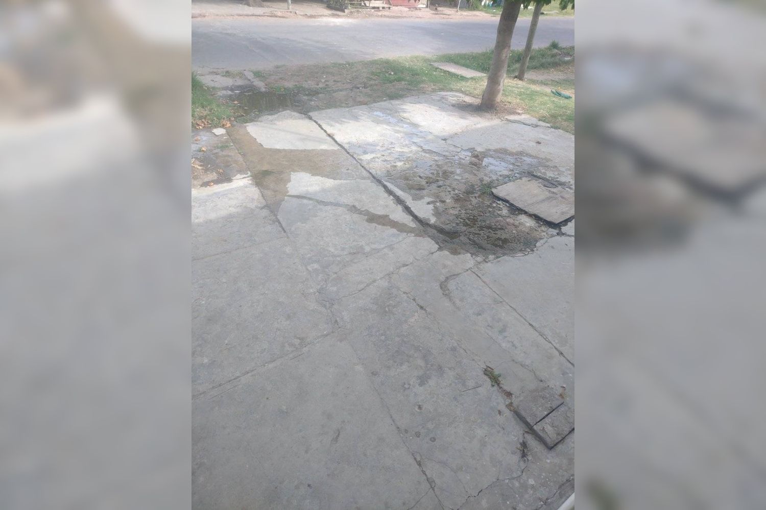 Las Provincias y Aulí: todo tapado