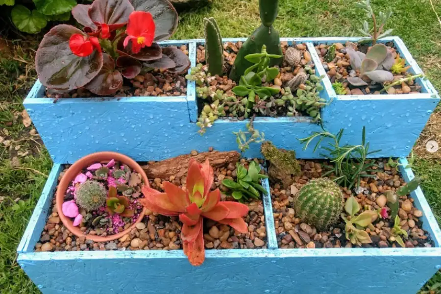 Foto Instagram @jardin.de.luna