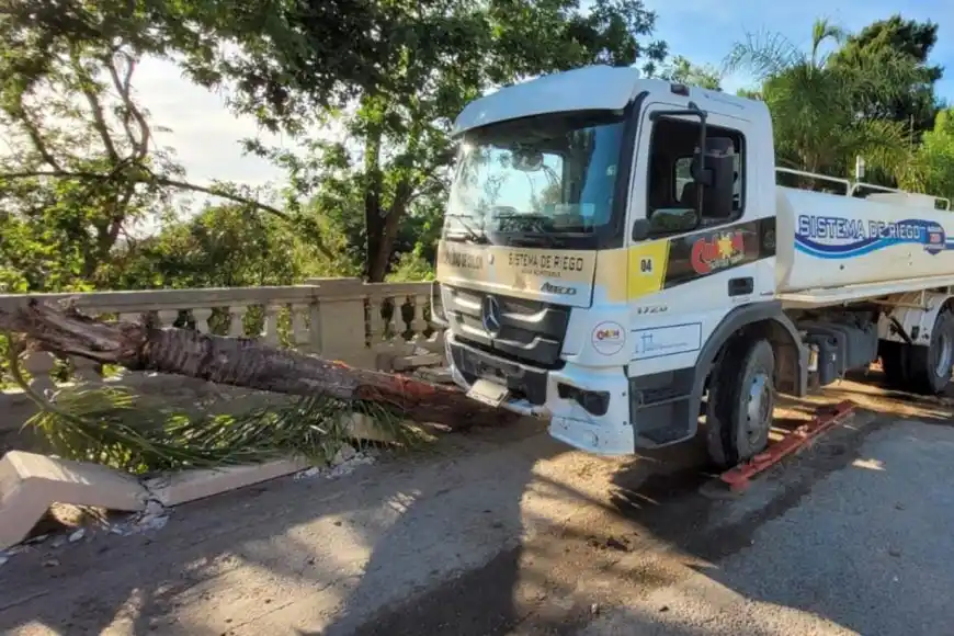 Un camión municipal se subió a la vereda en plena Costanera