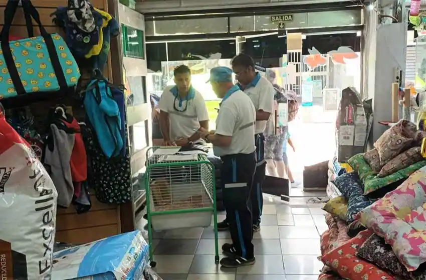 Secuestraron animales silvestres que se comercializaban en un local de pleno centro de Rosario