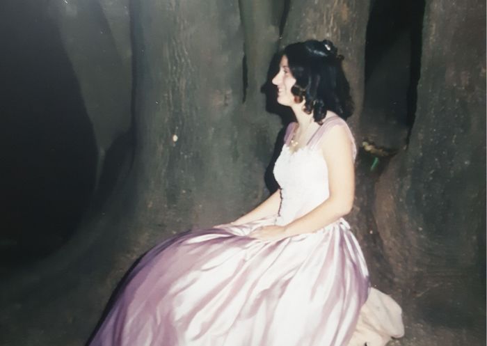 Concurso de los árboles