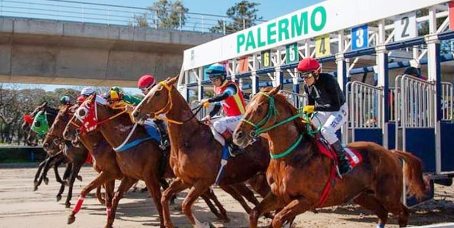 Domingo 27: Actividad Hipódromo de Palermo