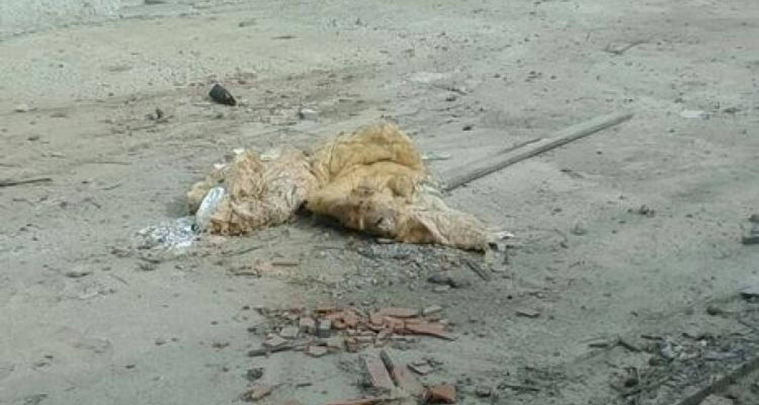 > Un nuevo llamado a licitación para la Escuela de Banfield