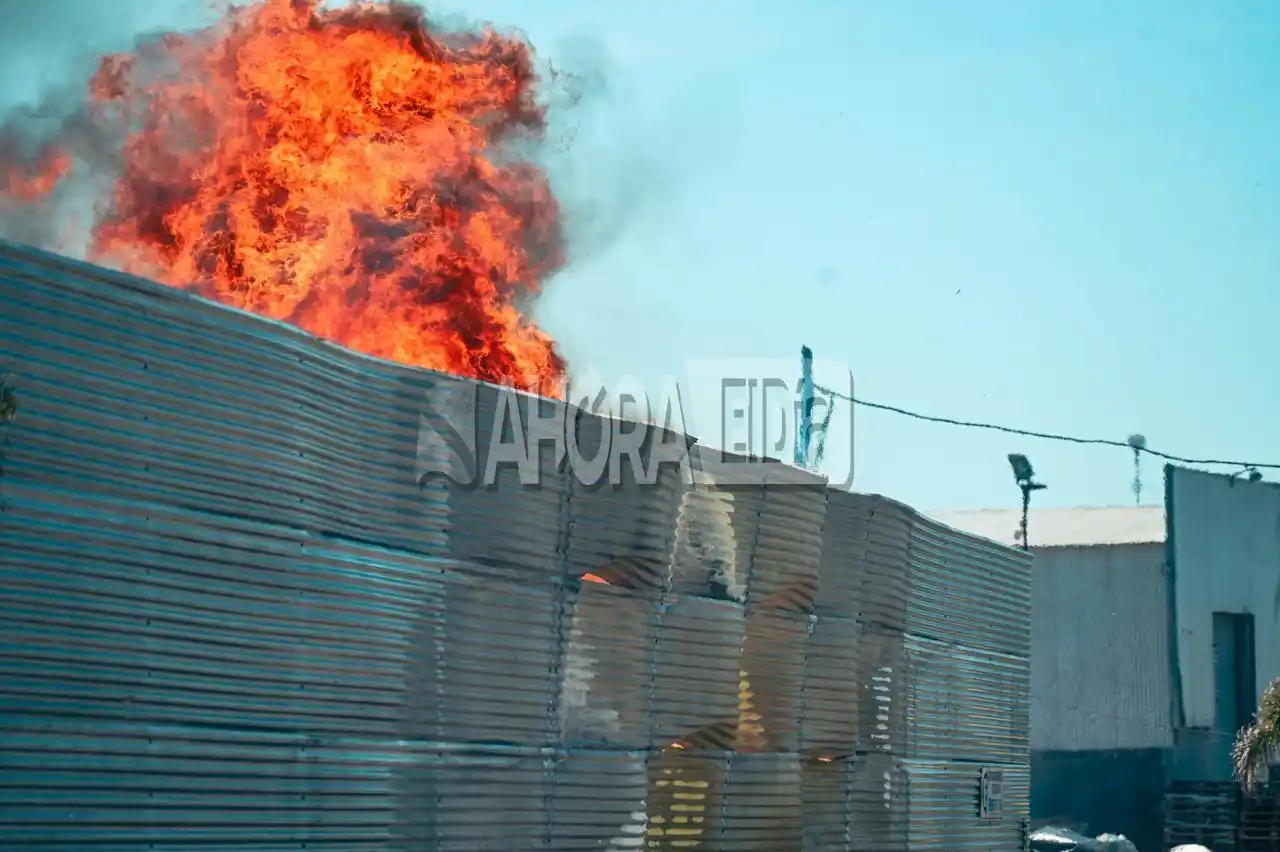 incendio pallets - 6