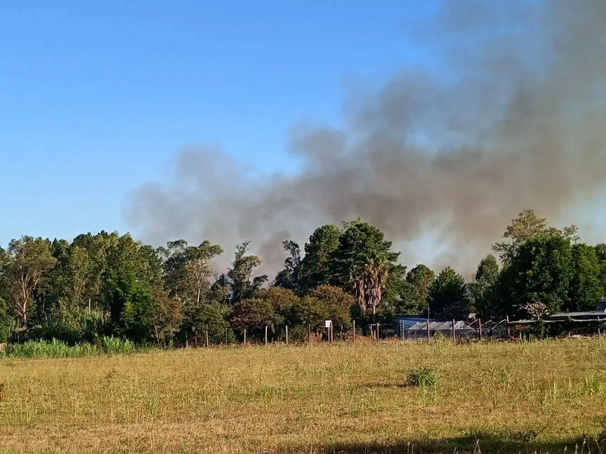 Bomberos Voluntarios de Concordia y la presencia de humo de focos ígneos