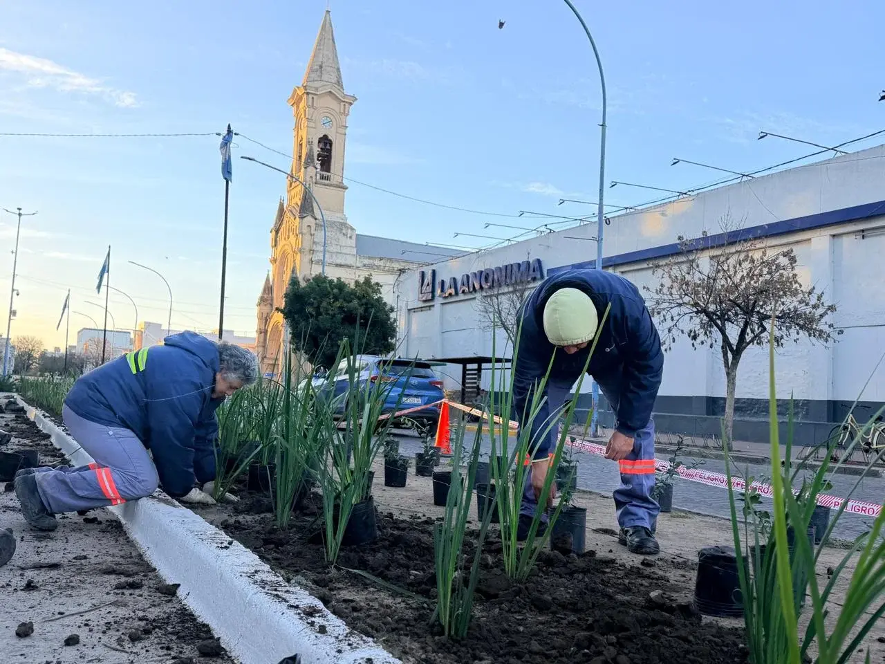 La Plaza 25 de Mayo suma color y vida con nuevas especies en los canteros