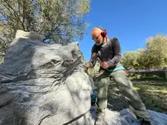 Comenzaron a tallar figuras de la fauna autóctona en el Parque Escultórico de Sierra del Tigre