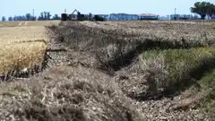 Sequía y después: qué pasará con los suelos si las precipitaciones son demasiado abundantes