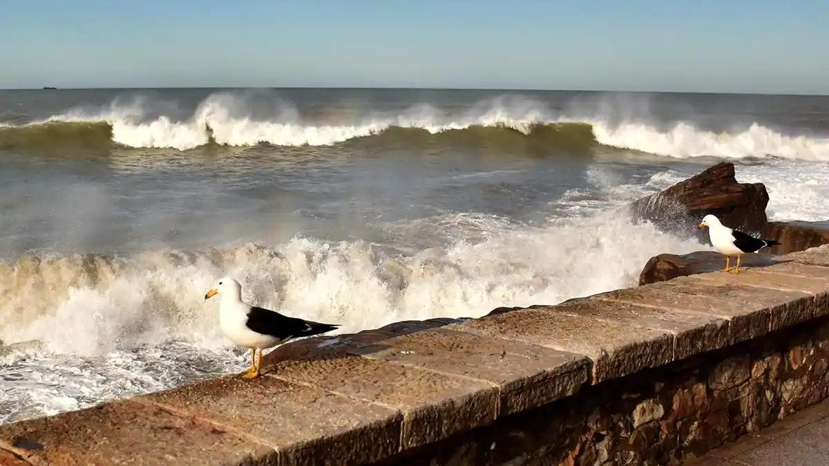 Aviso por crecida en la costa atlántica bonaerense, entre Mar del Plata y San Clemente del Tuyú