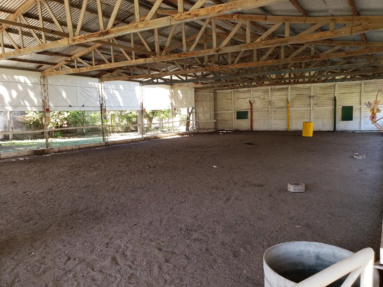 Despidieron a una jubilación feliz a Morito, el caballo terapéutico de la E.P.E.I. Nº 11