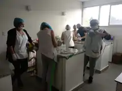 Se realizará la 15ta Edición de la Fiesta  del Dulce de Leche Artesanal en Vela