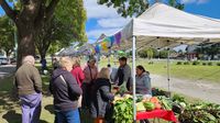 El Mercado Alimenticio Barrial vuelve este jueves a La Estación