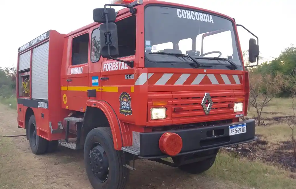 Una parrilla originó un incendio en la autovía Artigas