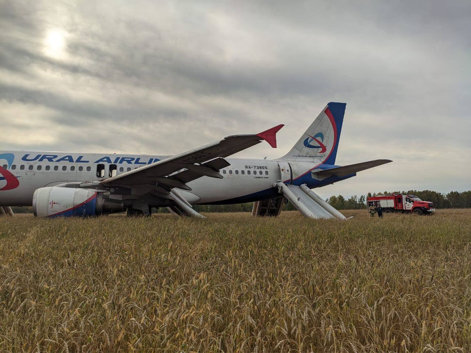 Ural Airlines A320 Makes Emergency Landing in a Field in Siberia: What We Know