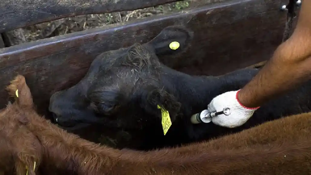 Fucofa definió su presupuesto anual y fijó los valores de las campañas sanitarias en Entre Ríos