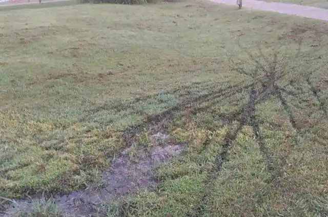 Destrozos en el "Paseo del Ferrocarril"
