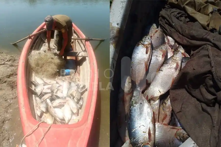 Incautaron 200 piezas de sábalos y artículos de pesca