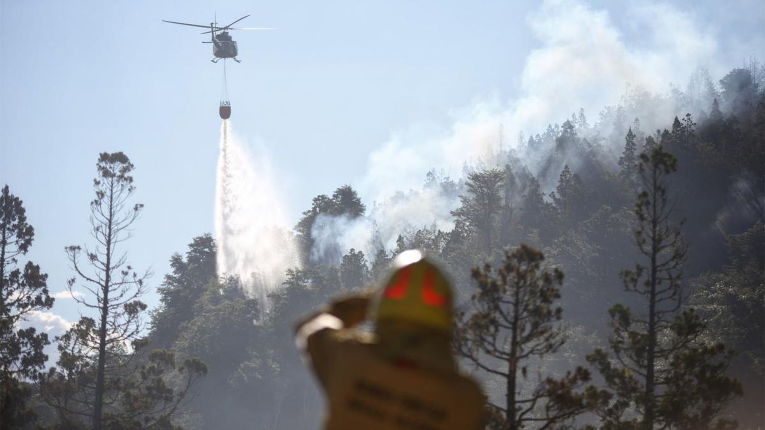 Ya son más de 2.000 las hectáreas quemadas en el Parque Nacional Los Alerces