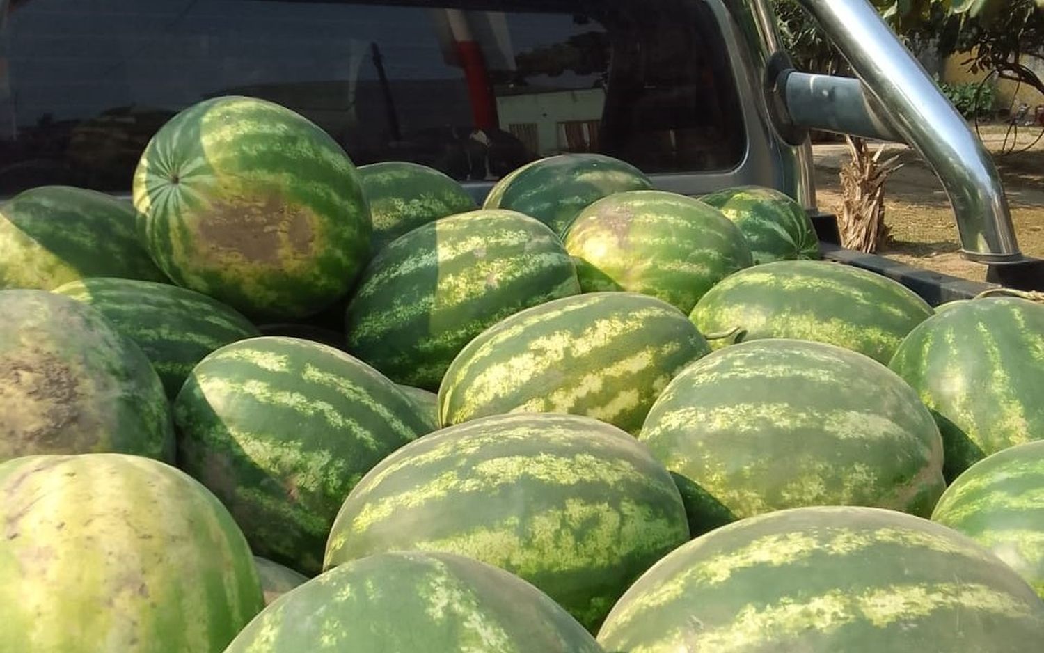 Soberanía Alimentaria Formoseña acercará la venta a los barrios San Antonio y San Juan Bautista