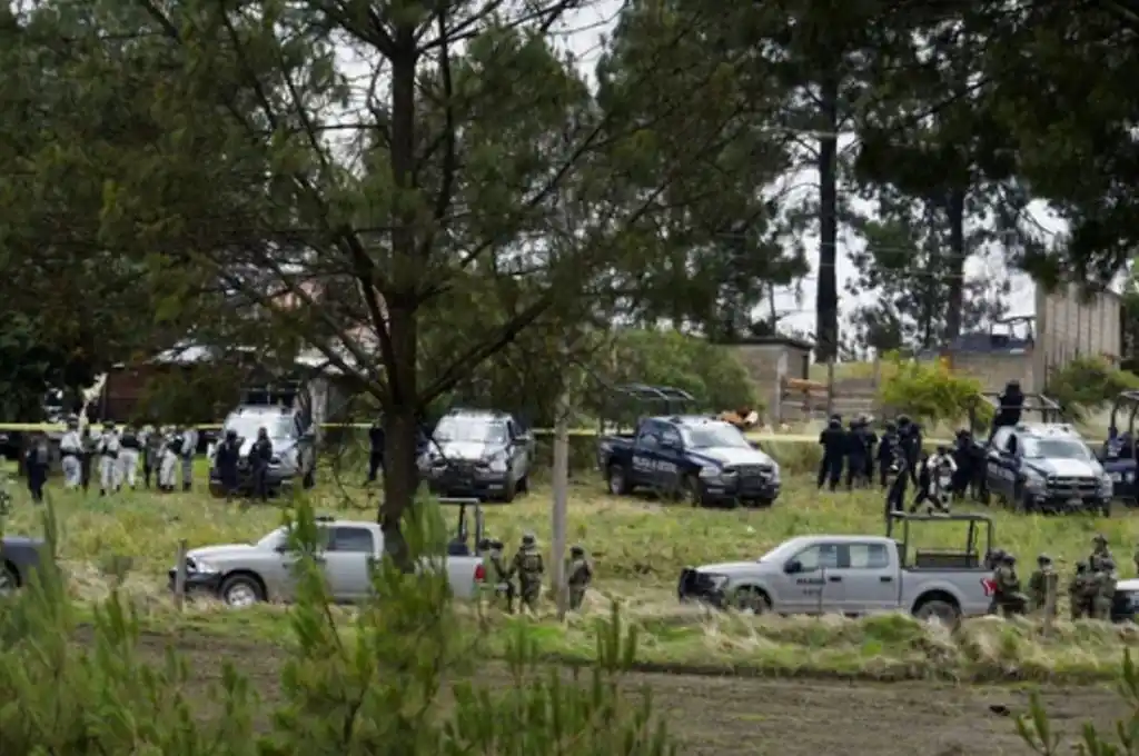 México: asesinaron a un mono vestido de sicario en medio de una balacera entre narcos y policías