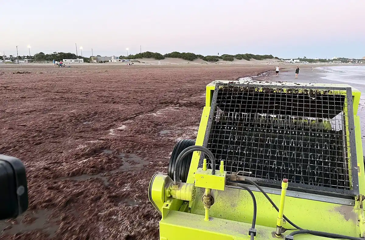 Trabajos. En la playa quequenense