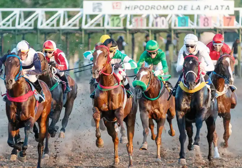 Domingo 15: Actividad Hipódromo de La Plata