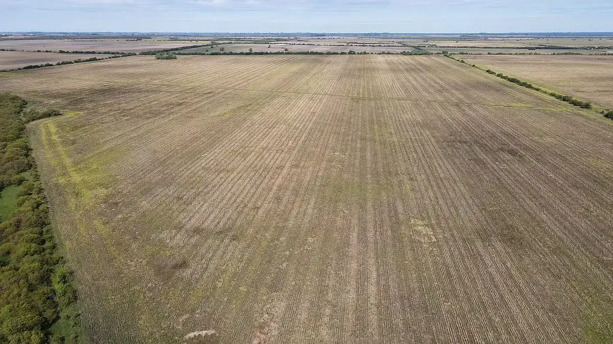 Gualeguay, entre los departamentos con más tierra en manos extranjeras de Entre Ríos