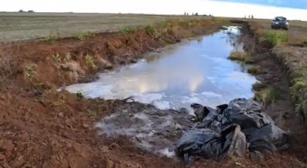 Hay más de 600 denuncias por canales clandestinos en la Provincia