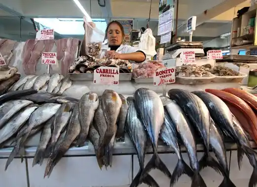 Hasta las 17 está en la ciudad el camión de Pescado de Mar 