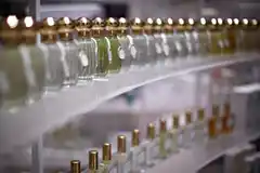 Cuando la belleza se encuentra con la sostenibilidad