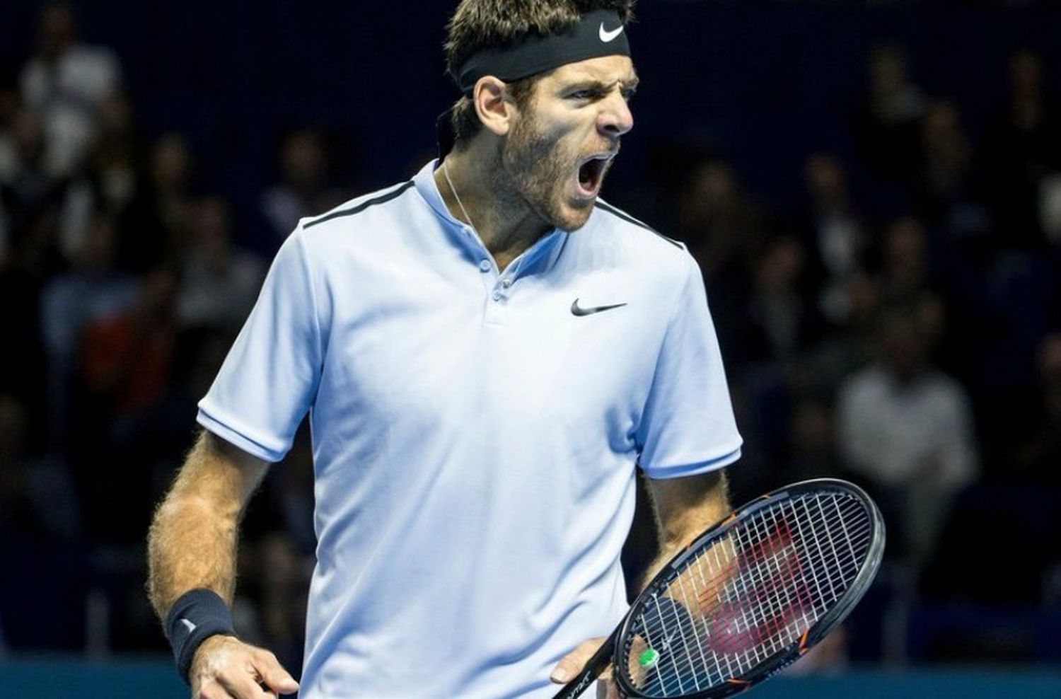 Del Potro avanza en el Abierto de Australia