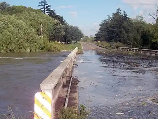 Vialidad Nacional informó que comenzarán la limpieza del puente sobre el río Carcarañá en la ruta 9
