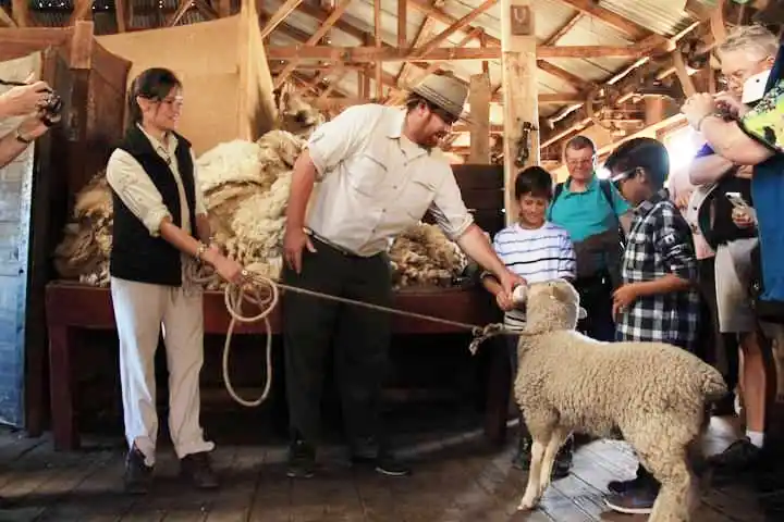 Colo Weigandt y Ale Ferrau: Dos meses anclados entre la cordillera y el lago Argentino
