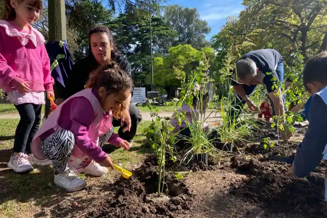Chascomús tendrá un mariposario que unirá concientización y biodiversidad en la Plaza Sarmiento