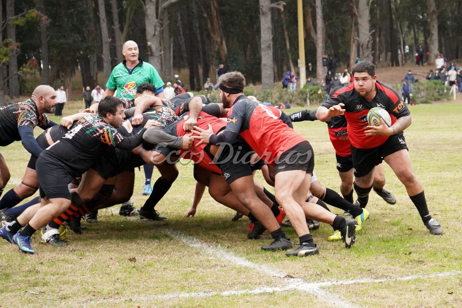 Tiburones fue local en Avenida Pinolandia