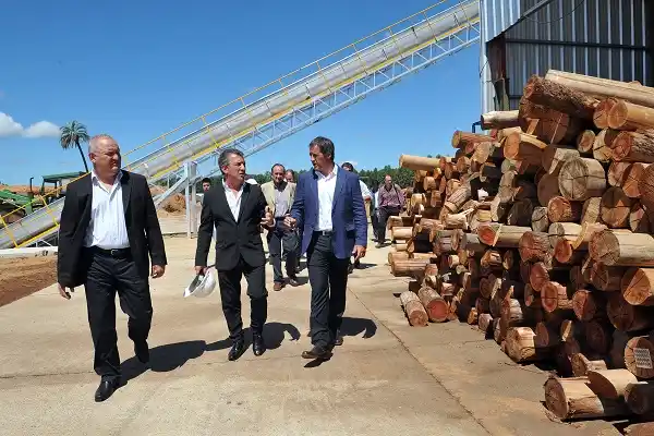 Entre Ríos produce energía alternativa a partir de desechos de la madera