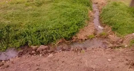 Contaminación y Mal olor