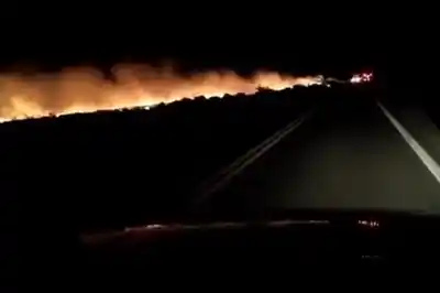 Video: feroz incendio en las costas de la laguna de Melincué