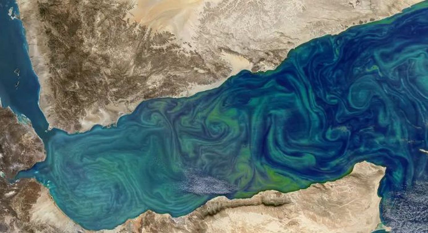 Una floración invernal de fitoplancton es visible en esta imagen, compuesta a partir de datos adquiridos por el espectrorradiómetro de imágenes de resolución moderada (MODIS) del satélite Aqua de la NASA.