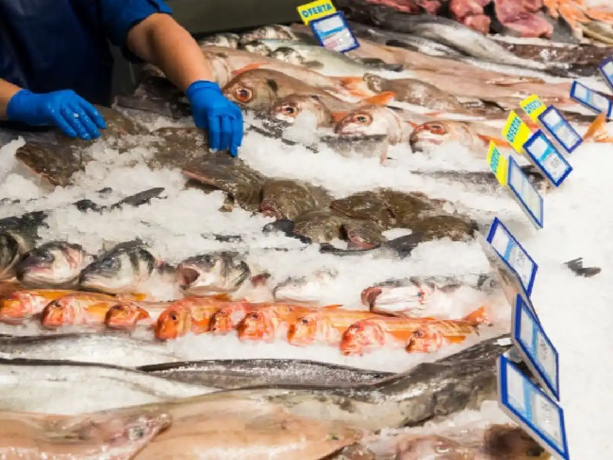 Cuidados para prevenir intoxicaciones en Semana Santa