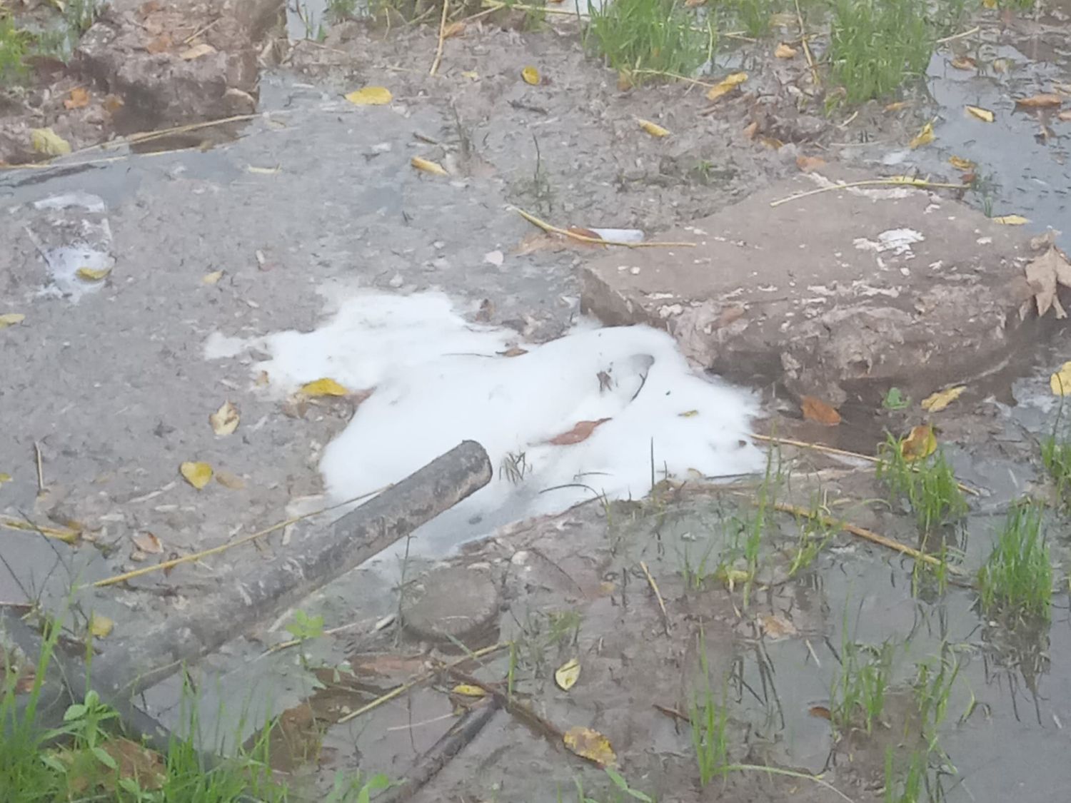 Cloacas rebalsadas en calle Brenan